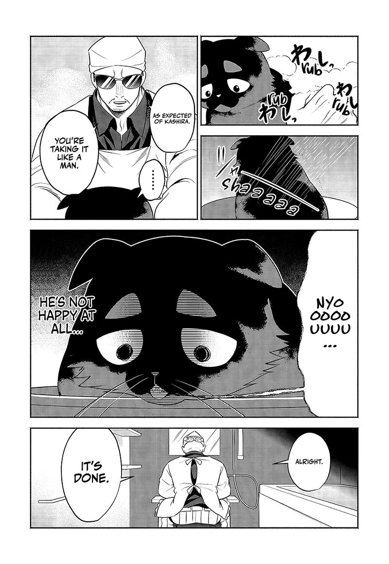 Neko Ga Gotoku 24 5