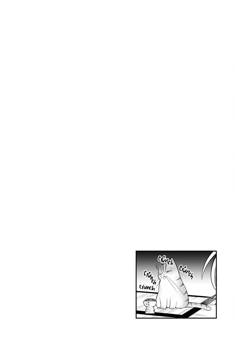 Neko Ga Gotoku 36 11