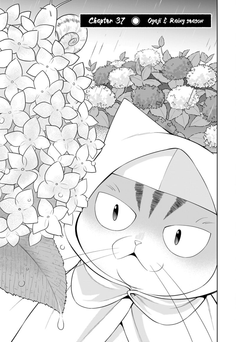 Neko Ga Gotoku 36 4