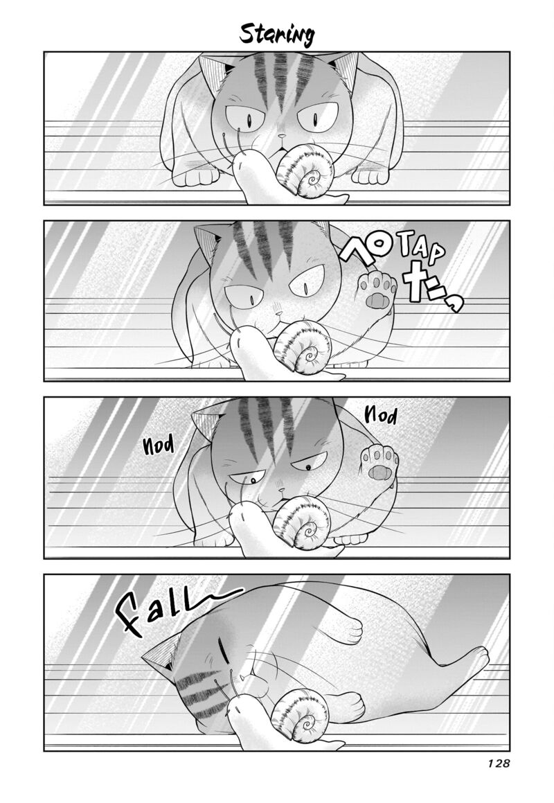 Neko Ga Gotoku 36 5