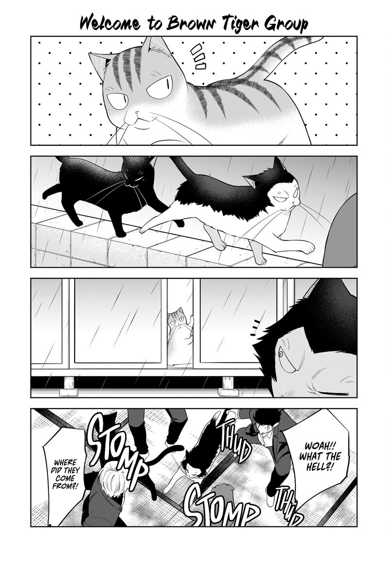 Neko Ga Gotoku 36 9