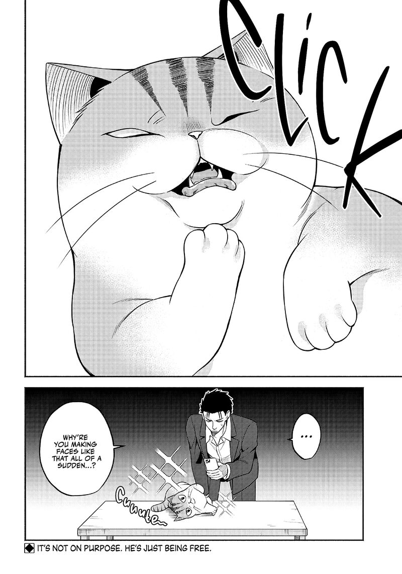 Neko Ga Gotoku 7 10