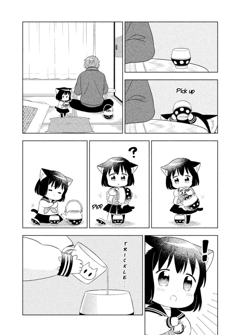 Neko No Kohana 24 10