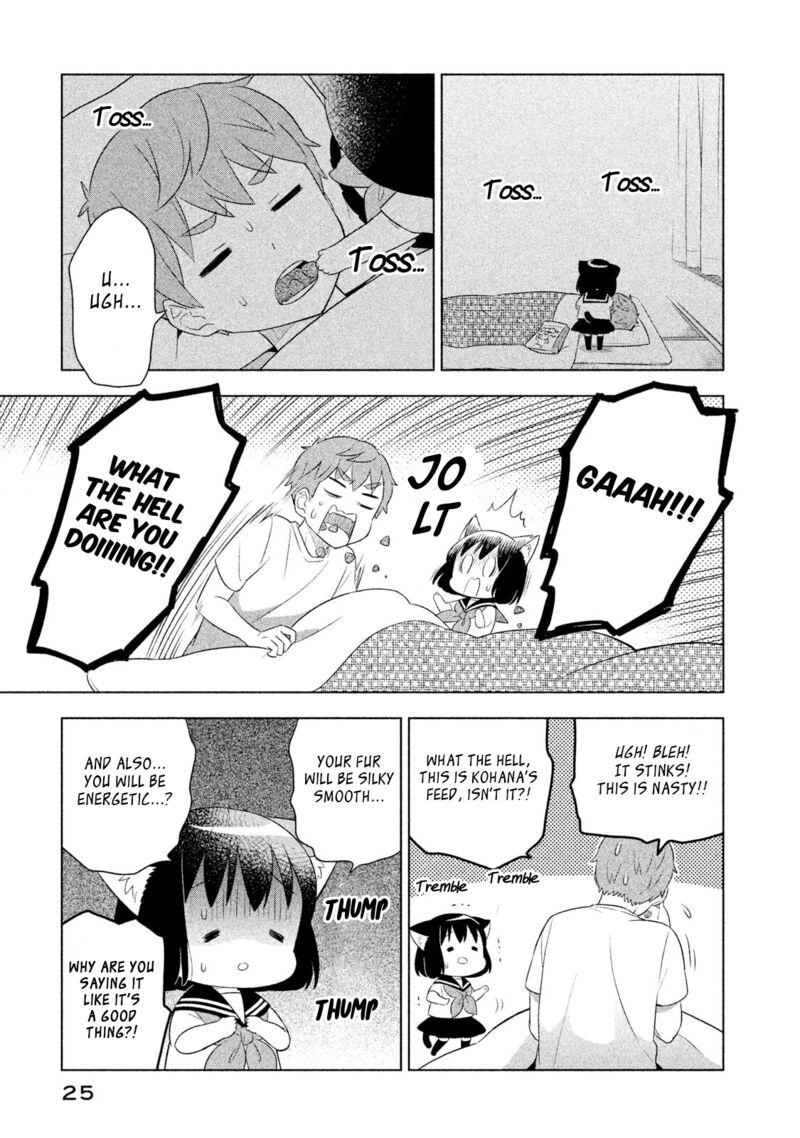 Neko No Kohana 31 11