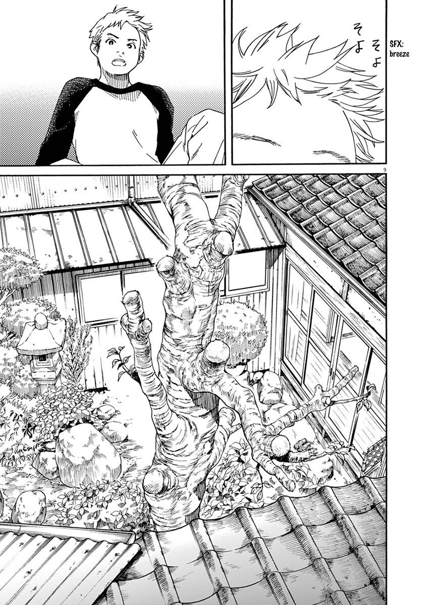 Neko No Otera No Chion San 8 9