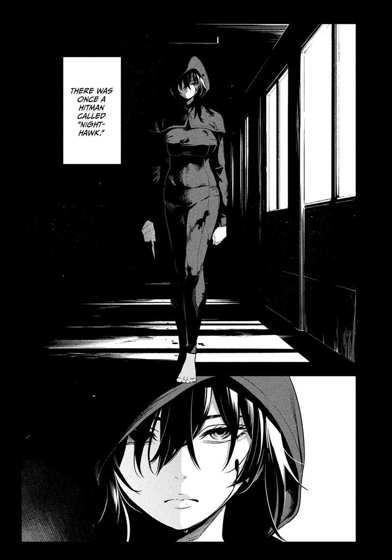 Nighthawk Returns 3 1