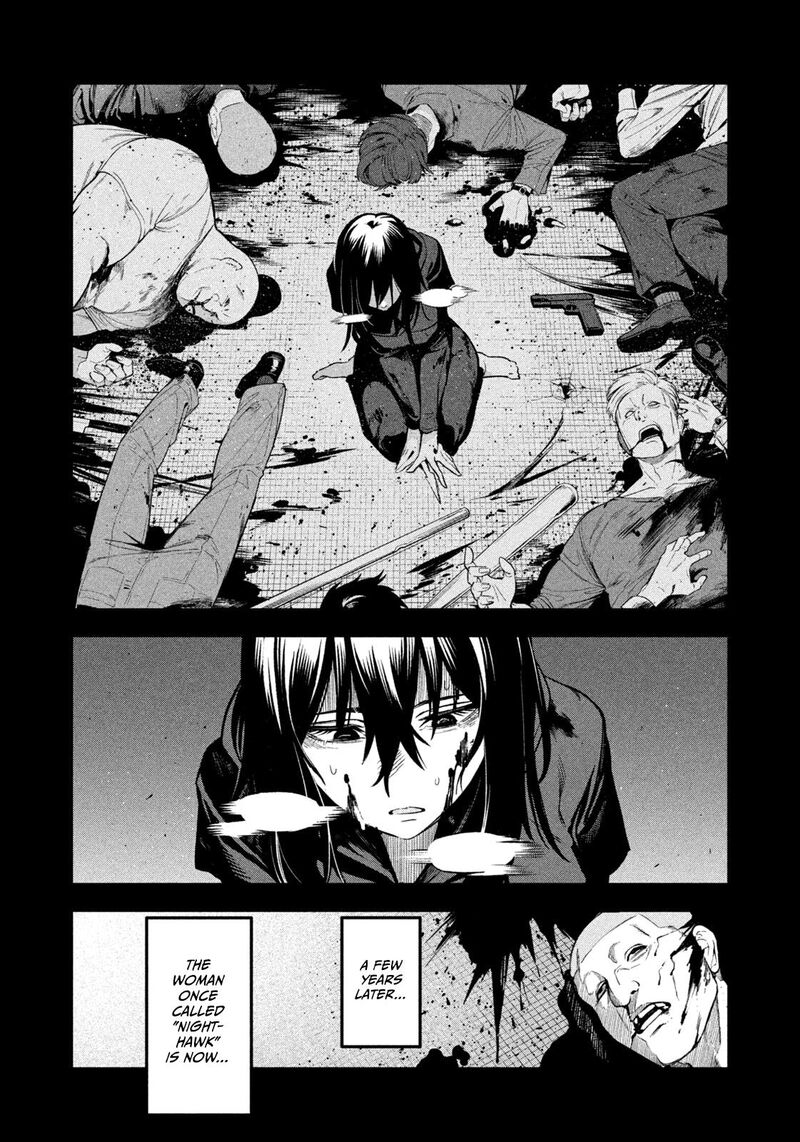 Nighthawk Returns 3 4