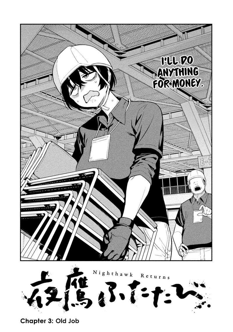 Nighthawk Returns 3 7