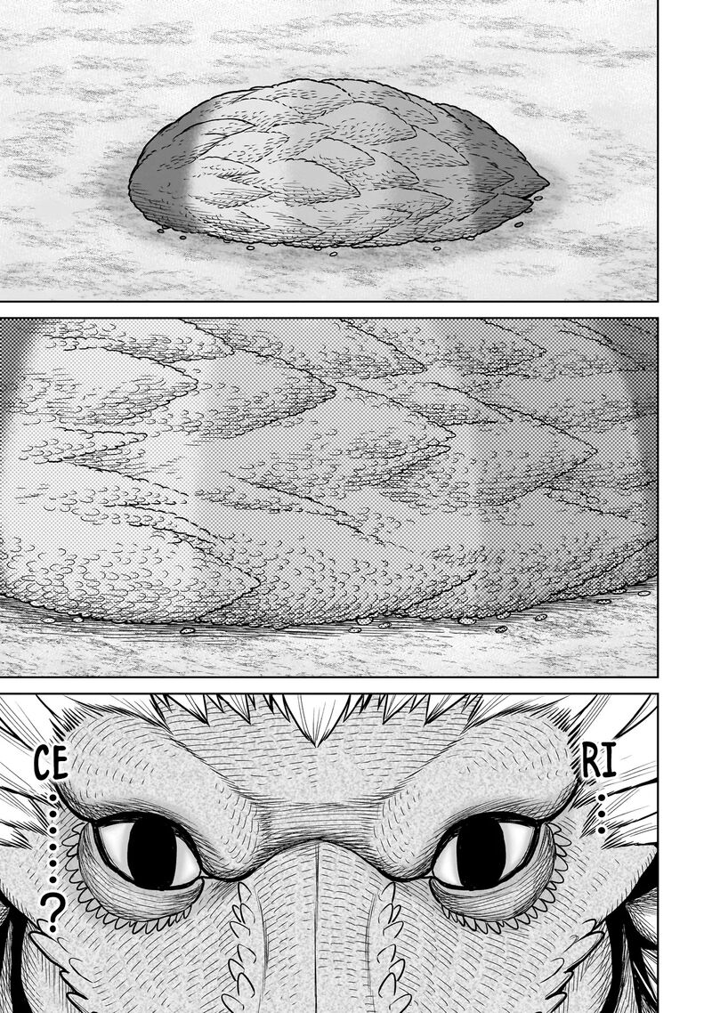 Ninja No Kishi 20 10