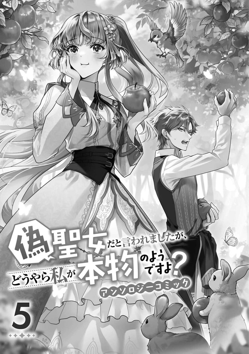 Nise Seijo Da To Iwaremashita Ga Douyara Watashi Ga Honmono No You Desu Ka 22 4