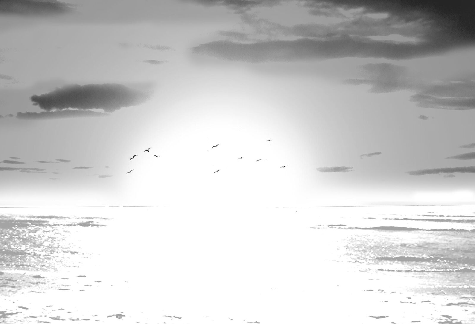 No Lily No Life 15 25