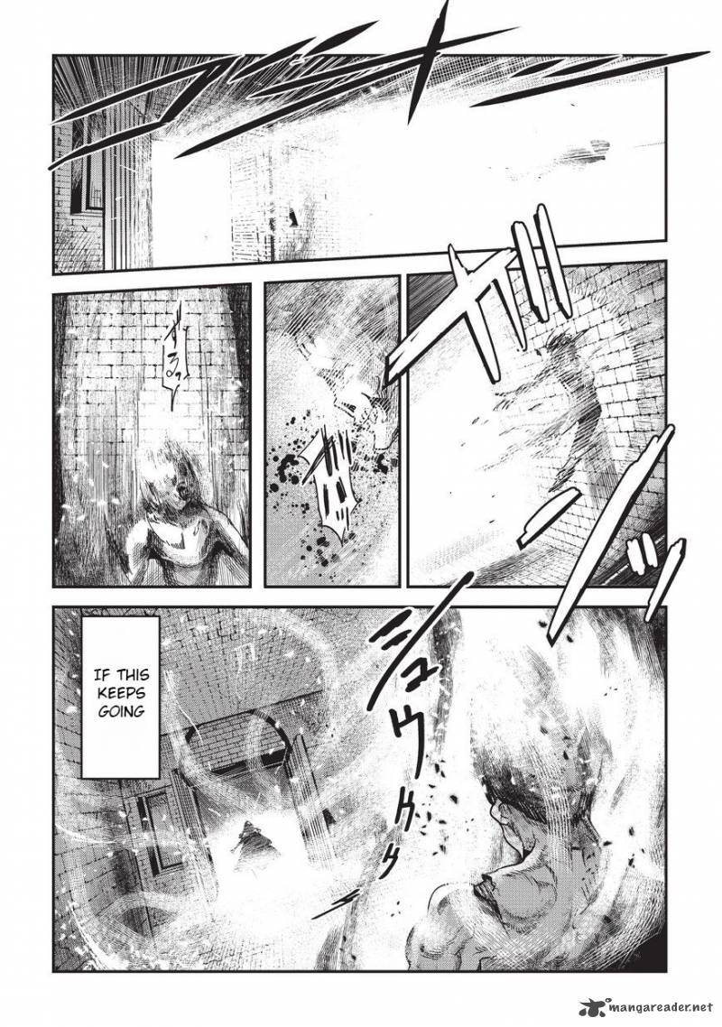 Nozomanu Fushi No Boukensha 11 4