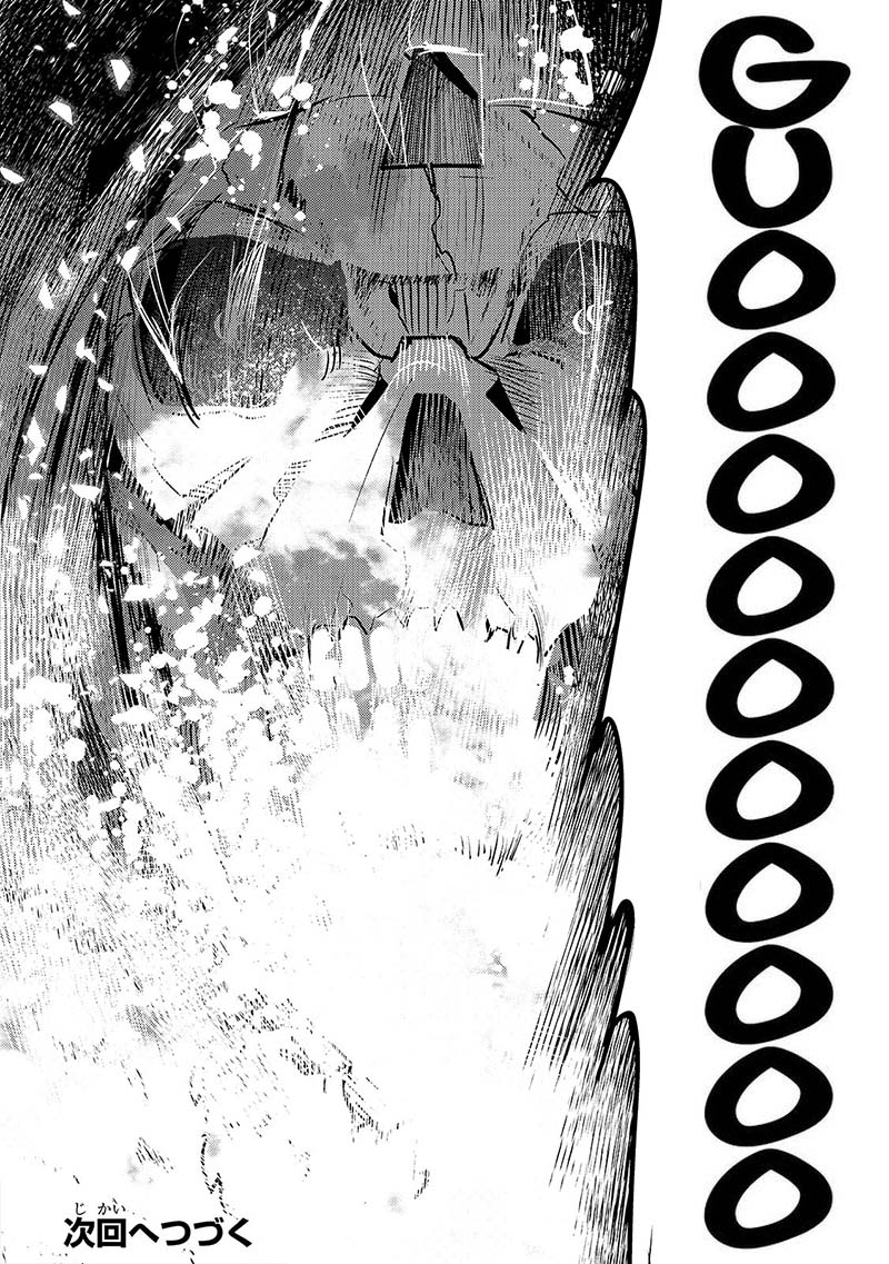 Nozomanu Fushi No Boukensha 33 37