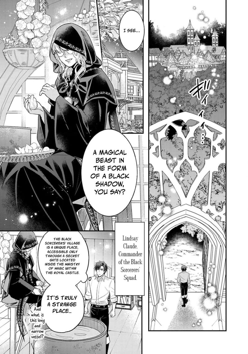 Ochikobore Shiro Madoushi Cecil Wa Taishougai No Hazu Deshita 18 14