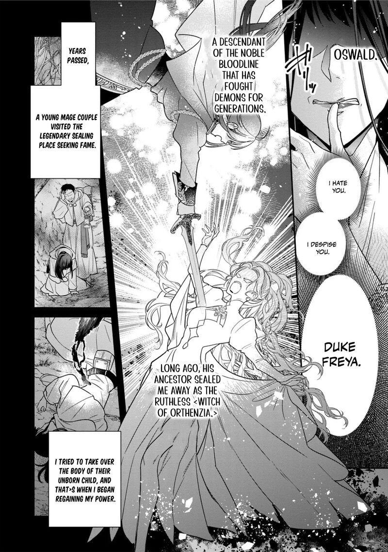 Ochikobore Shiro Madoushi Cecil Wa Taishougai No Hazu Deshita 6 30