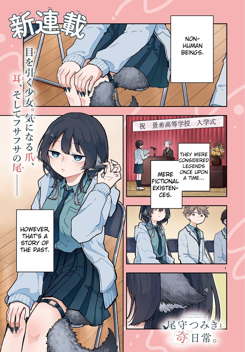 Ogami Tsumiki To Kinichijou 1 1