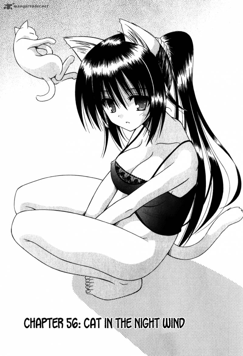 Omamori Himari 56 11