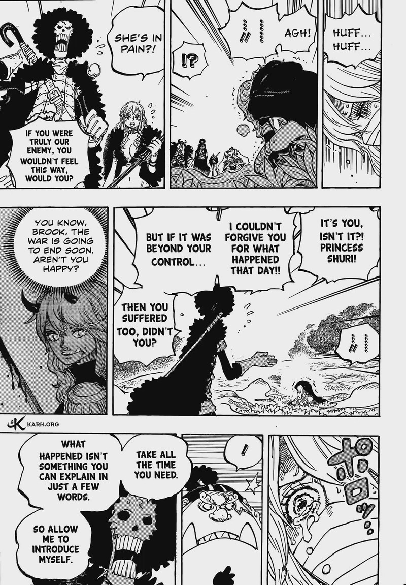 One Piece 1195 7