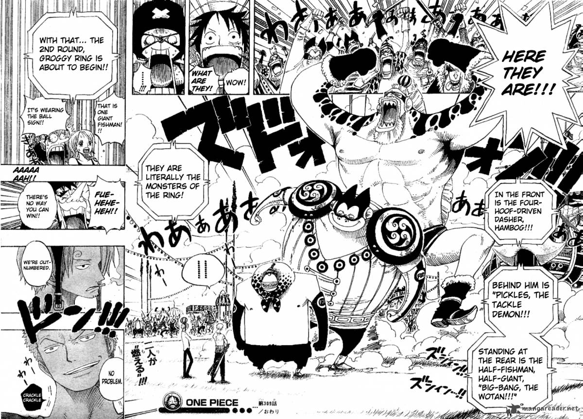 One Piece 309 17