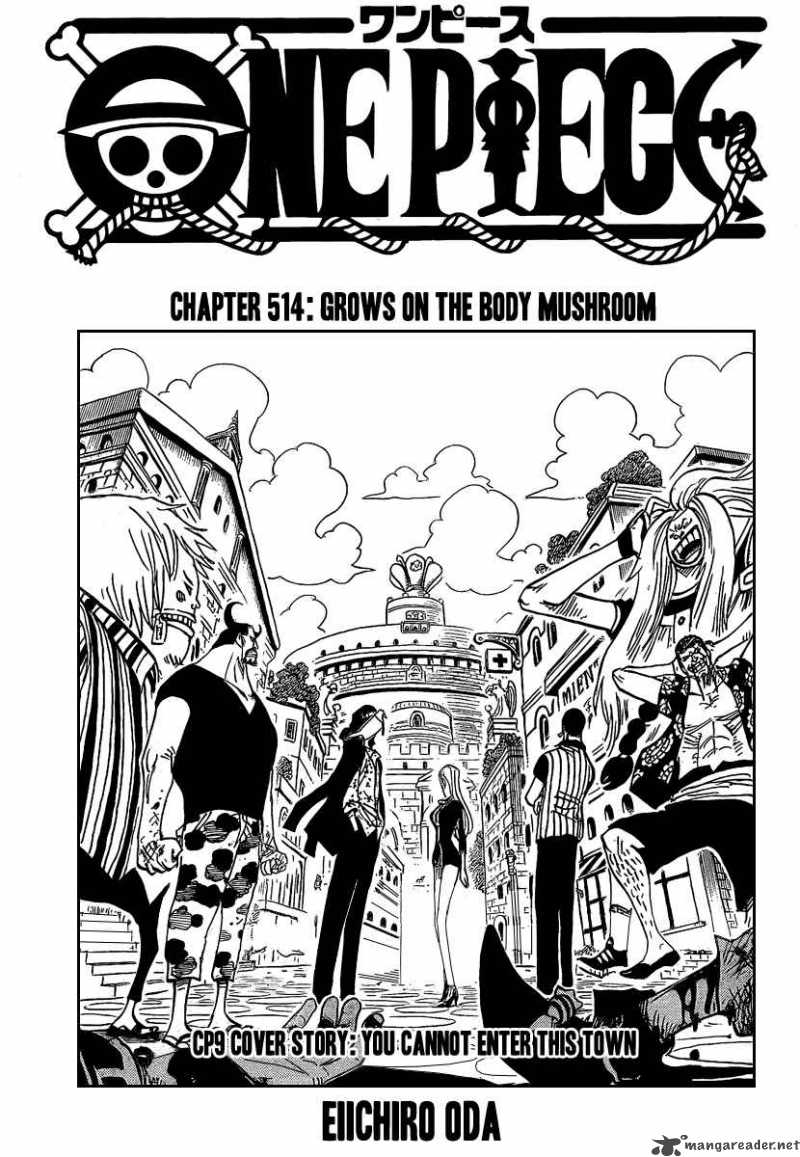 One Piece 514 1