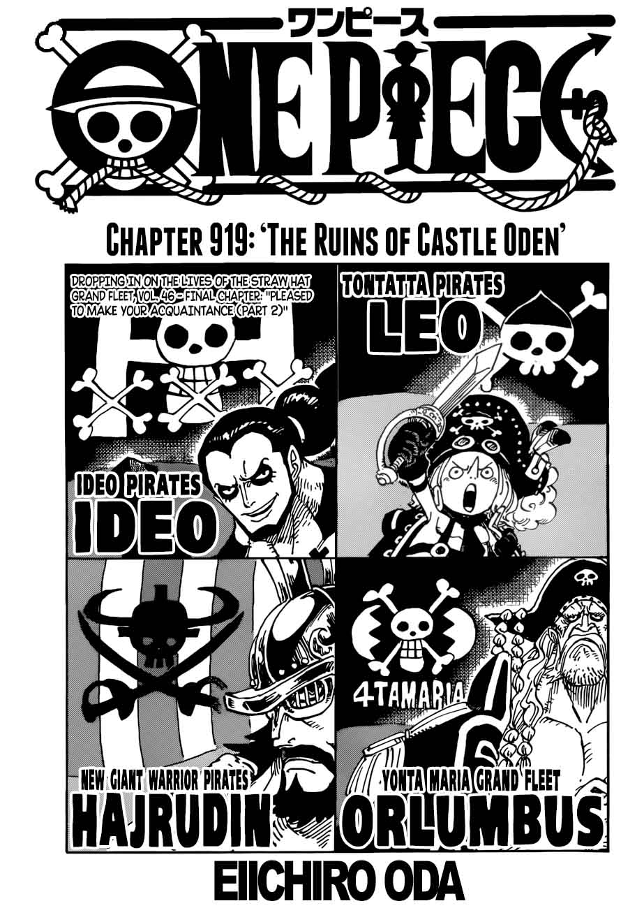 One Piece 919 1