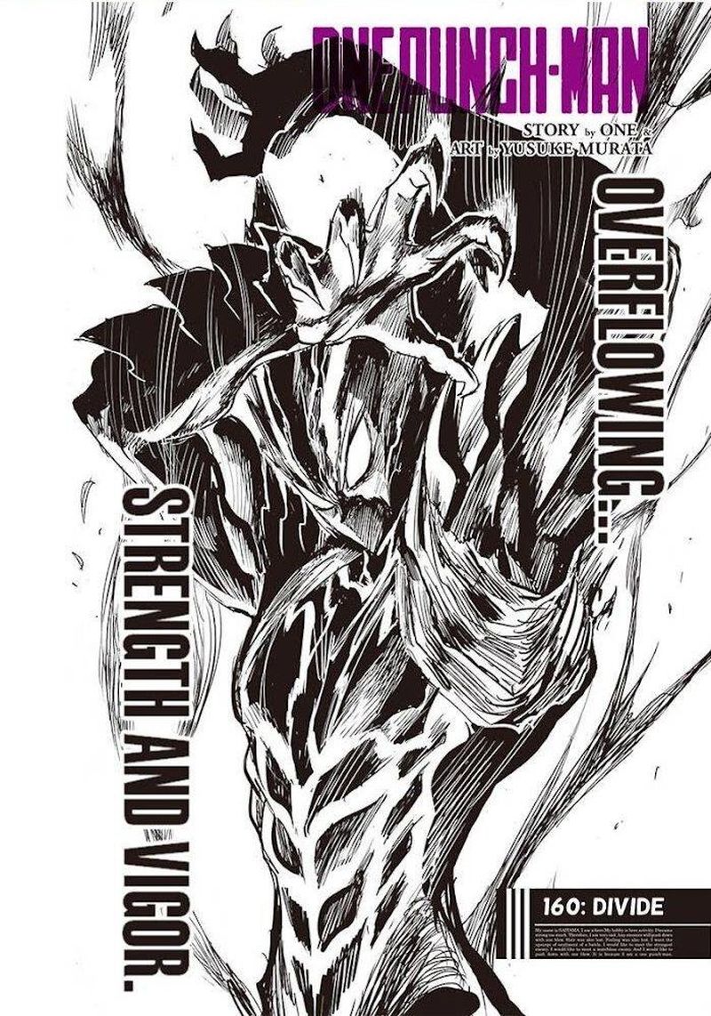 Onepunch Man 160 1