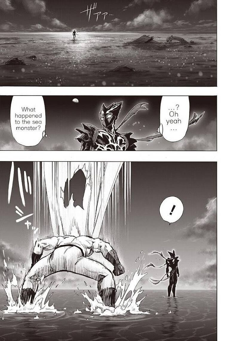 Onepunch Man 160 24