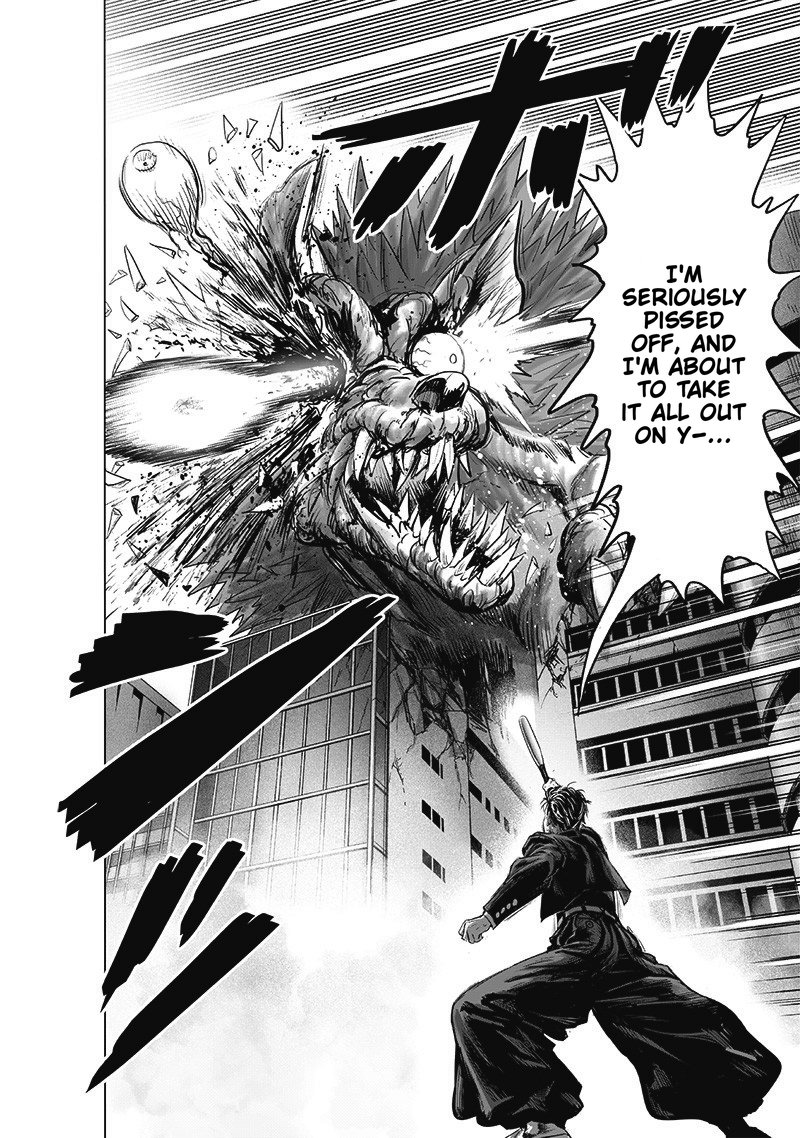 Onepunch Man 180 29