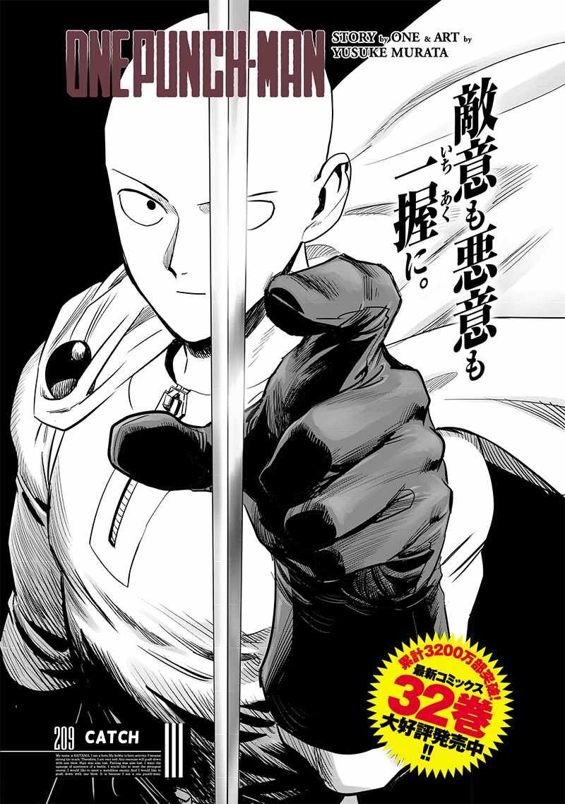 Onepunch Man 209 1