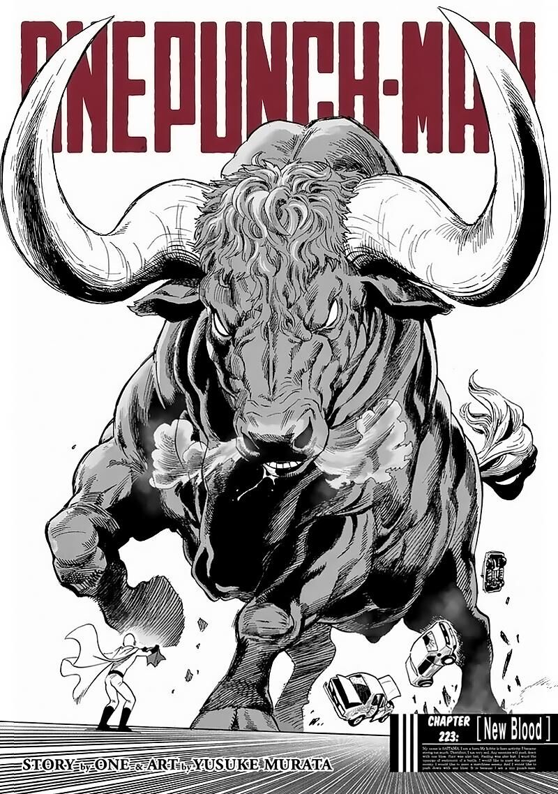Onepunch Man 223 1