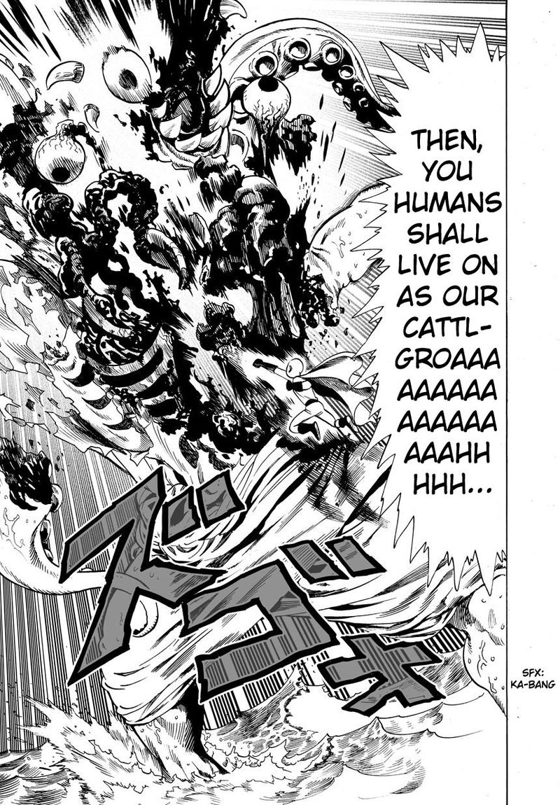 Onepunch Man 23 3