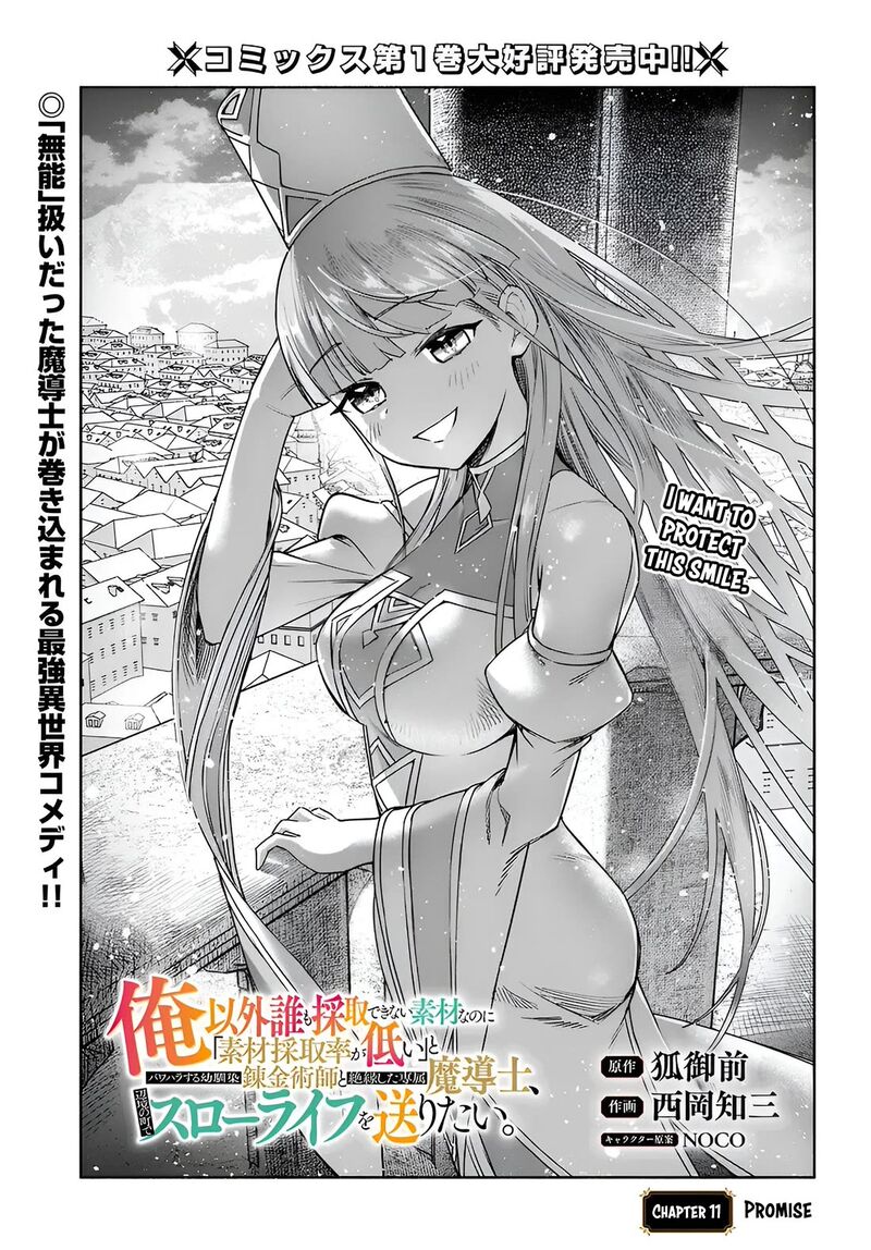 Ore Igai Dare Mo Saishu Dekinai Sozai Na No Ni Sozai Saishuritsu Ga Hikui To Pawahara Suru Osananajimi Renkinjutsushi To Zetsuen Shita Senzoku Madoushi Henkyou No Machi De Slow Life Wo Okuritai 11 1