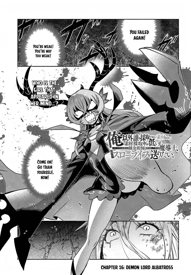 Ore Igai Dare Mo Saishu Dekinai Sozai Na No Ni Sozai Saishuritsu Ga Hikui To Pawahara Suru Osananajimi Renkinjutsushi To Zetsuen Shita Senzoku Madoushi Henkyou No Machi De Slow Life Wo Okuritai 16 1