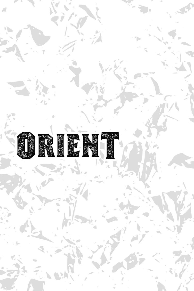 Orient 141 46