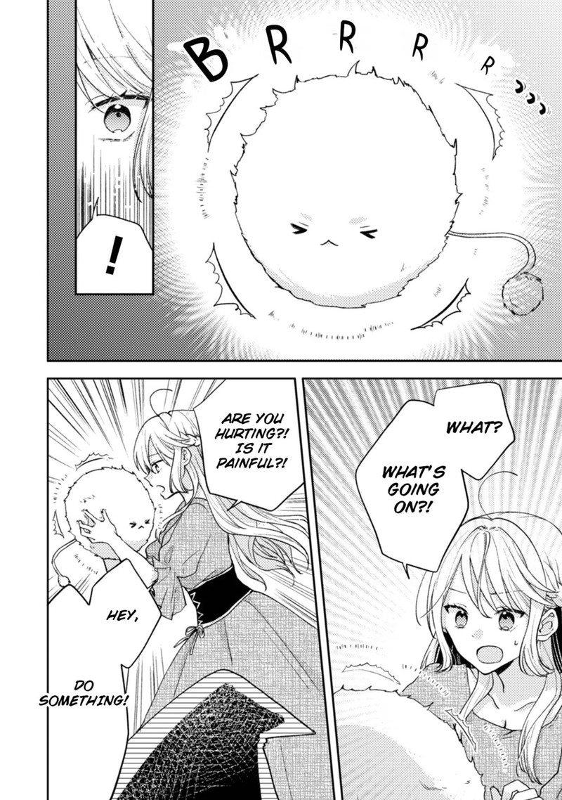 Ouji Sama Nante Kocchi Kara Negaisage Desu Wa Tsuihou Sareta Moto Akuyaku Reijou Mahou No Chikara De Mikaeshimasu 6 12