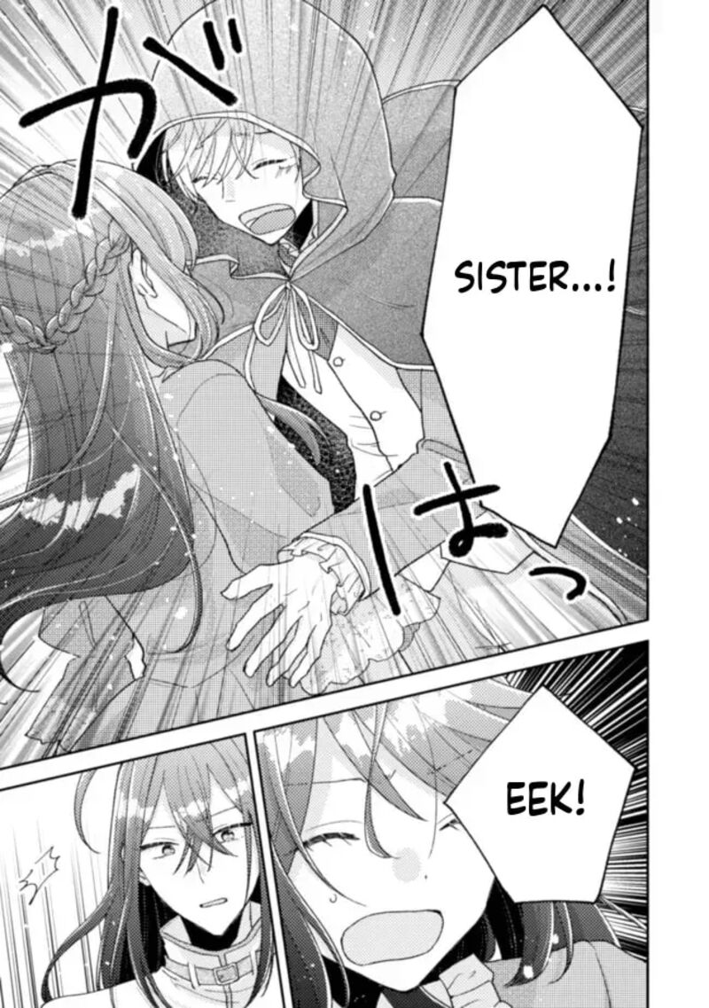 Oujisama Nante Kocchi Kara Negaisage Desu Wa Tsuihou Sareta Moto Akuyaku Reijou Mahou No Chikara De Mikaeshimasu 17 9