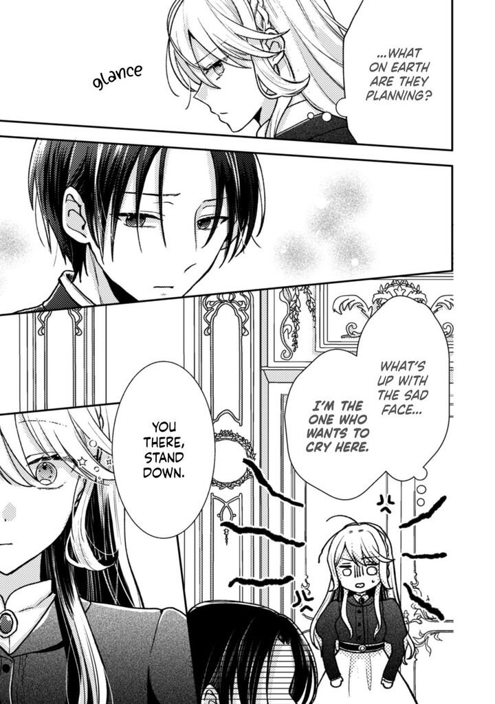 Oujisama Nante Kocchi Kara Negaisage Desu Wa Tsuihou Sareta Moto Akuyaku Reijou Mahou No Chikara De Mikaeshimasu 2 20