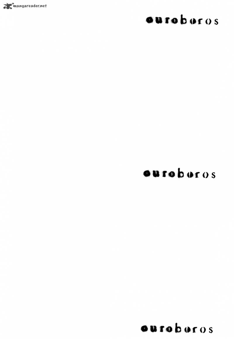 Ouroboros 55 20