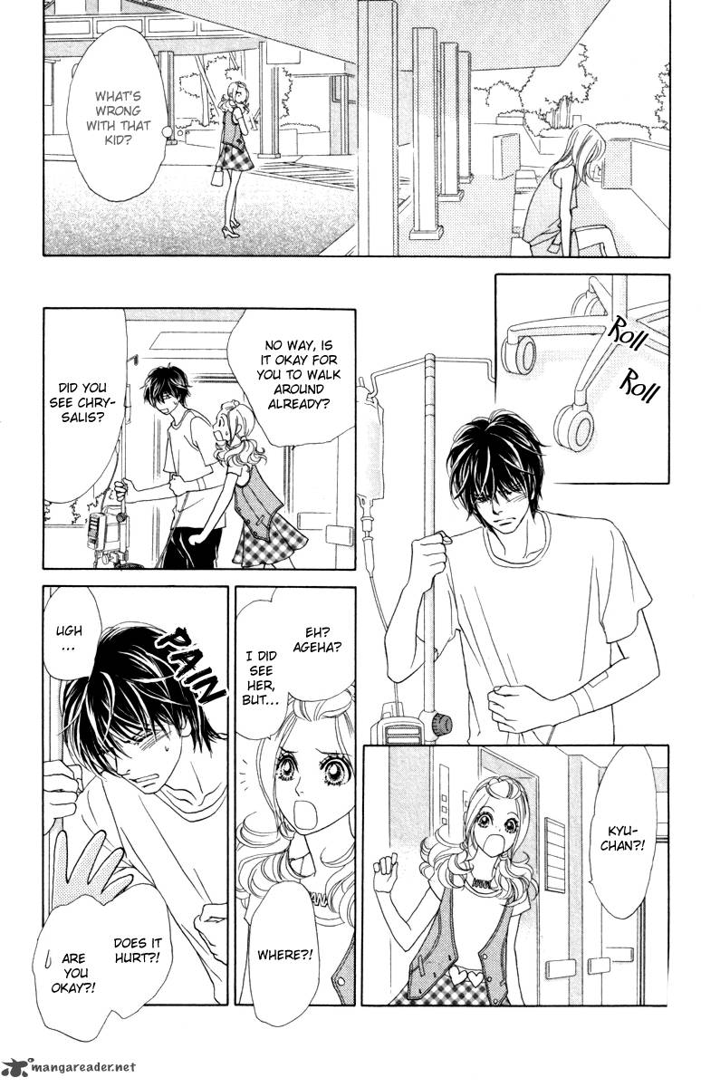 Papillon Hana To Chou 36 19