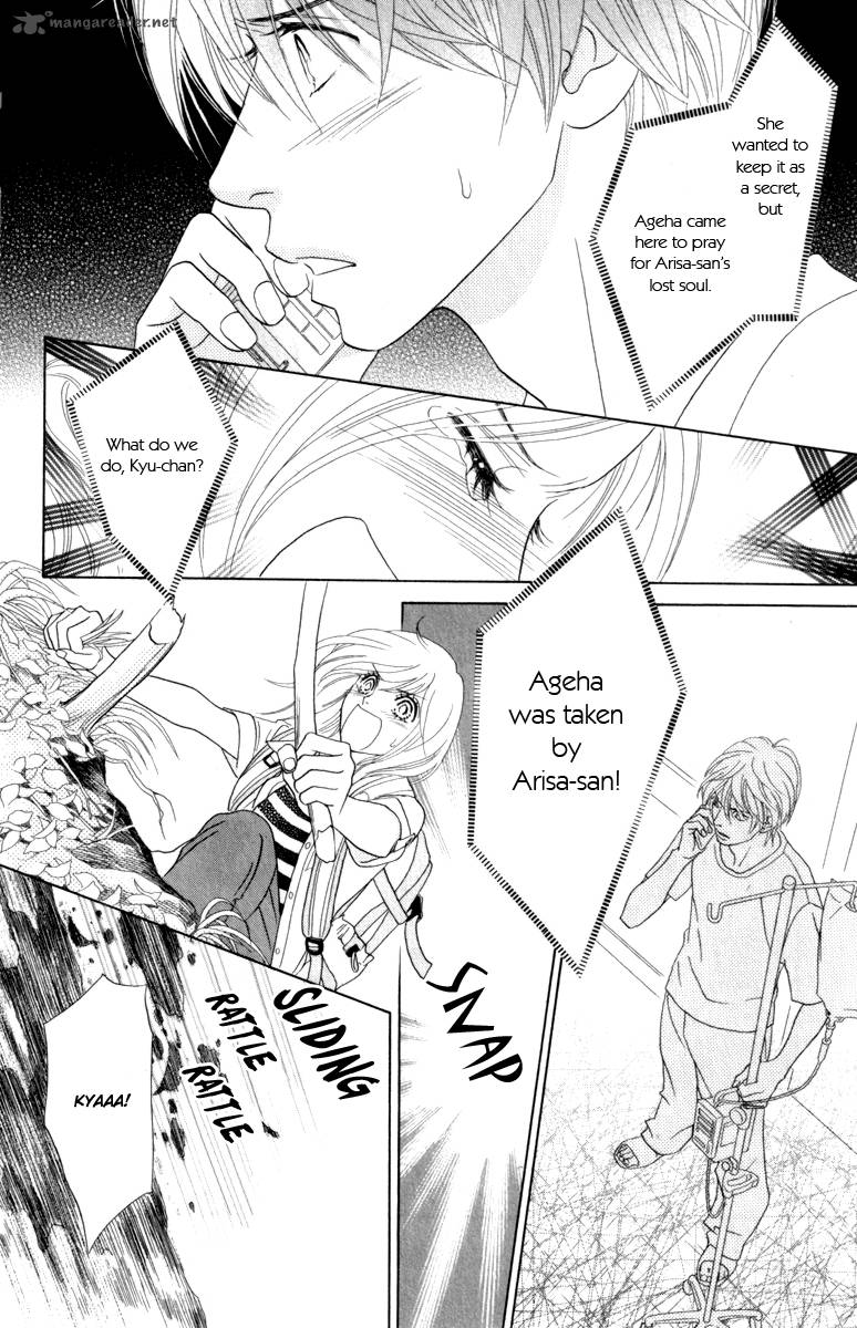 Papillon Hana To Chou 38 28