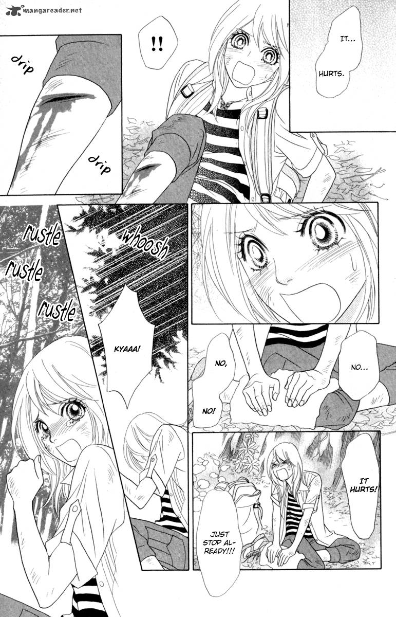 Papillon Hana To Chou 38 29