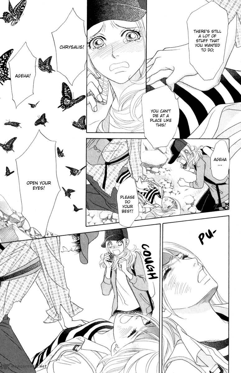 Papillon Hana To Chou 40 13
