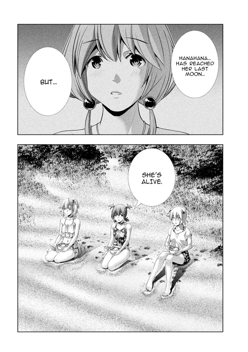 Parallel Paradise 299 2