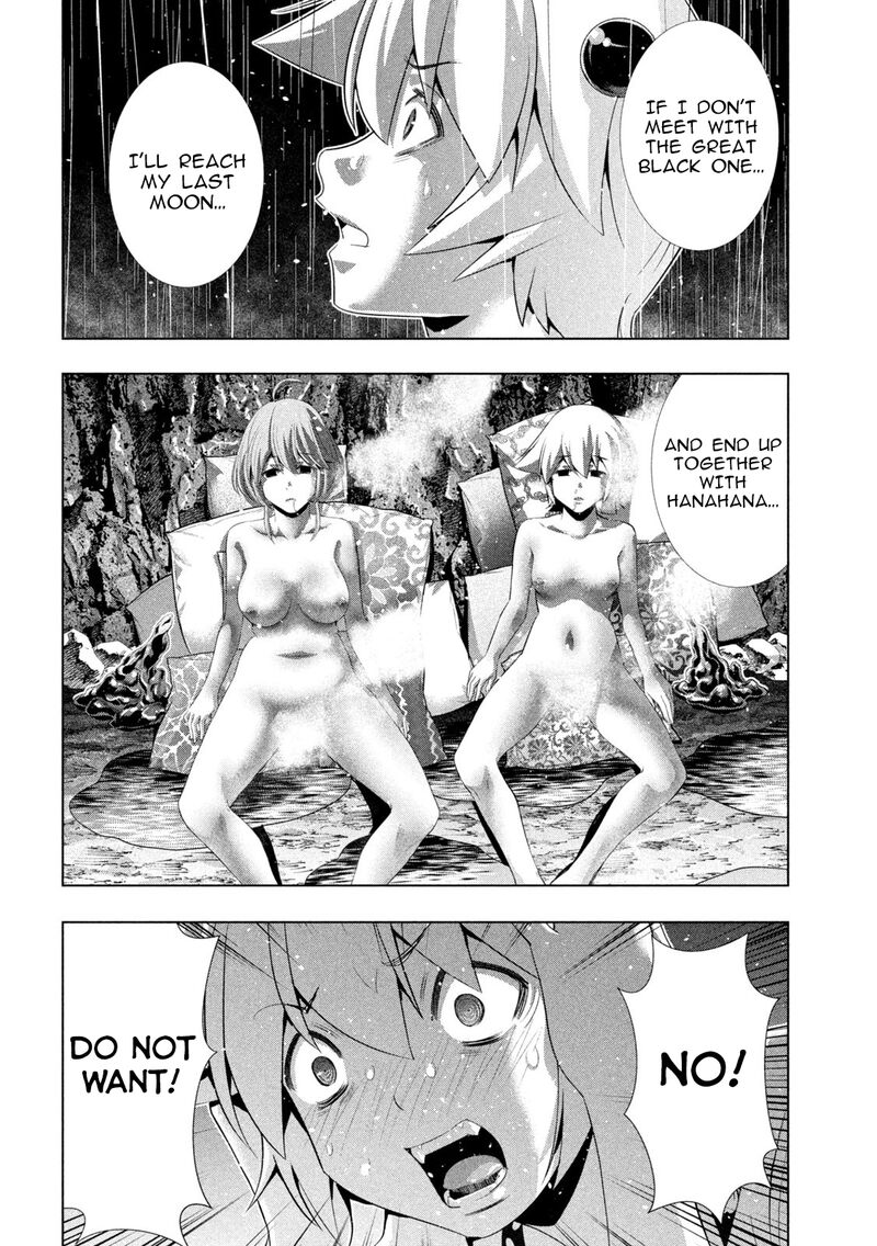 Parallel Paradise 300 14