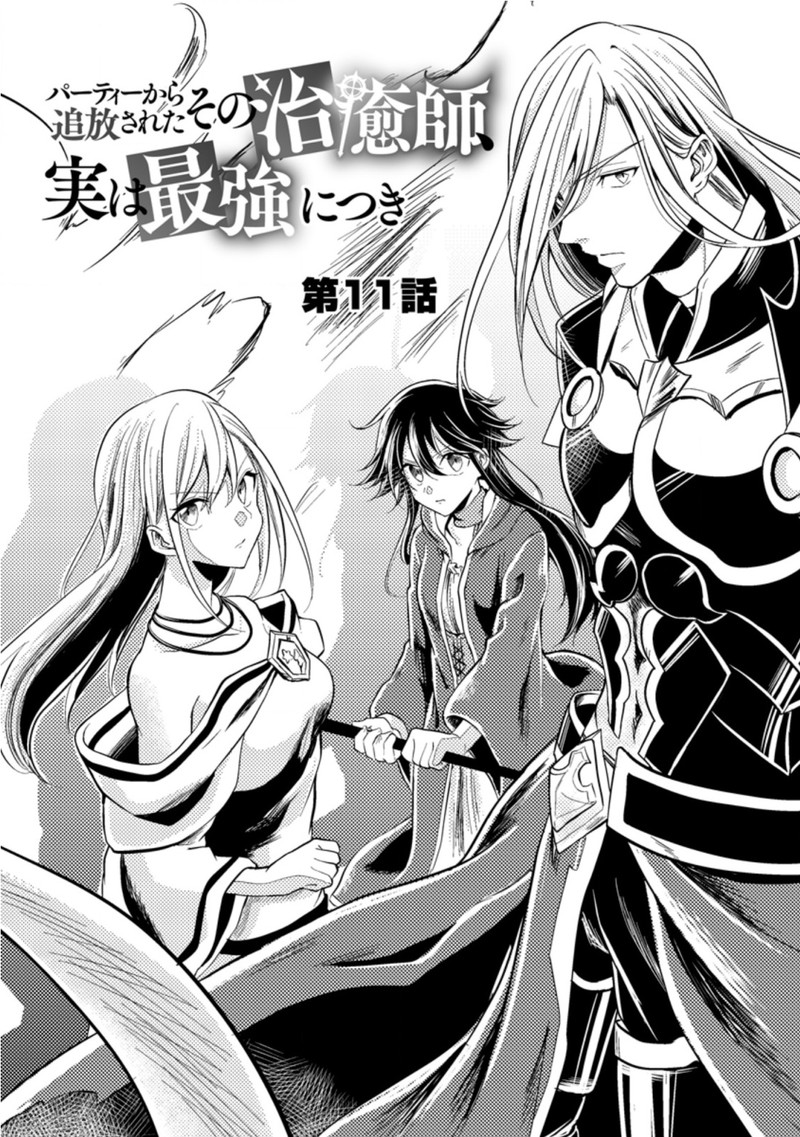 Party Kara Tsuihou Sareta Sono Chiyushi Jitsu Wa Saikyou Nitsuki 11 2