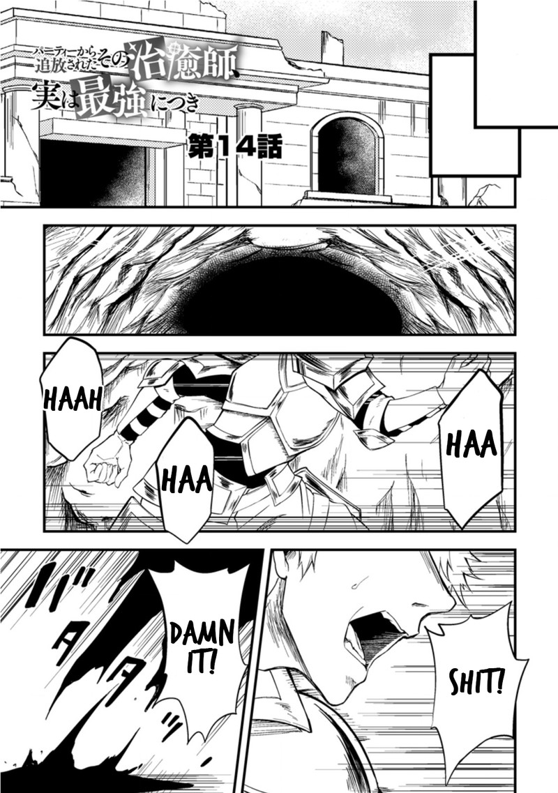 Party Kara Tsuihou Sareta Sono Chiyushi Jitsu Wa Saikyou Nitsuki 14 1