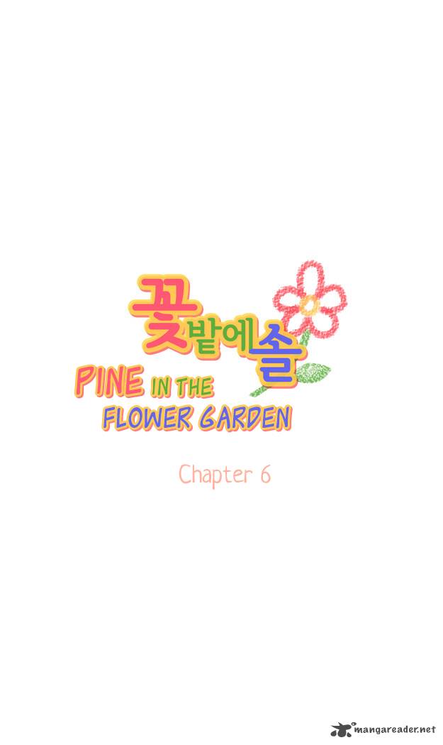 Pine In The Flower Garden 6 7