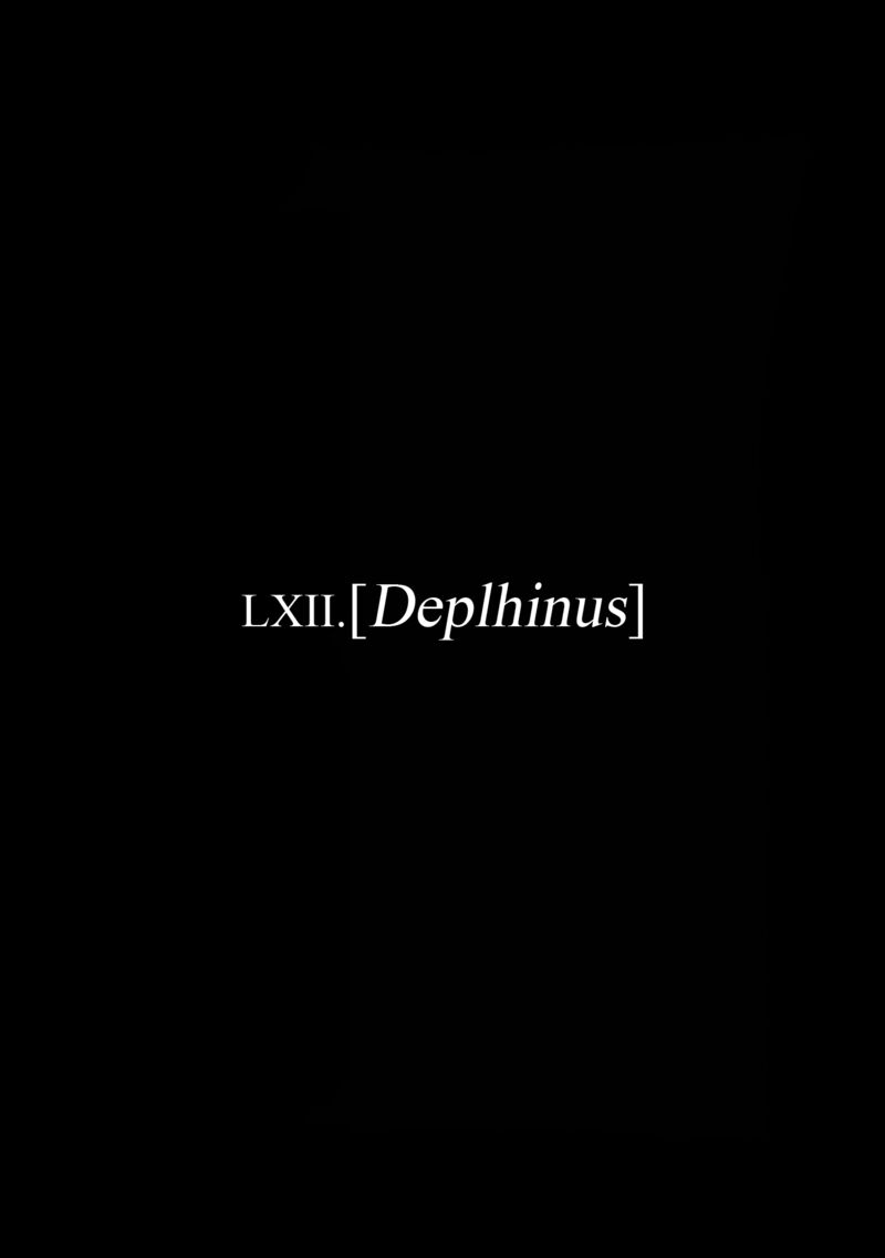Plinius 62 1