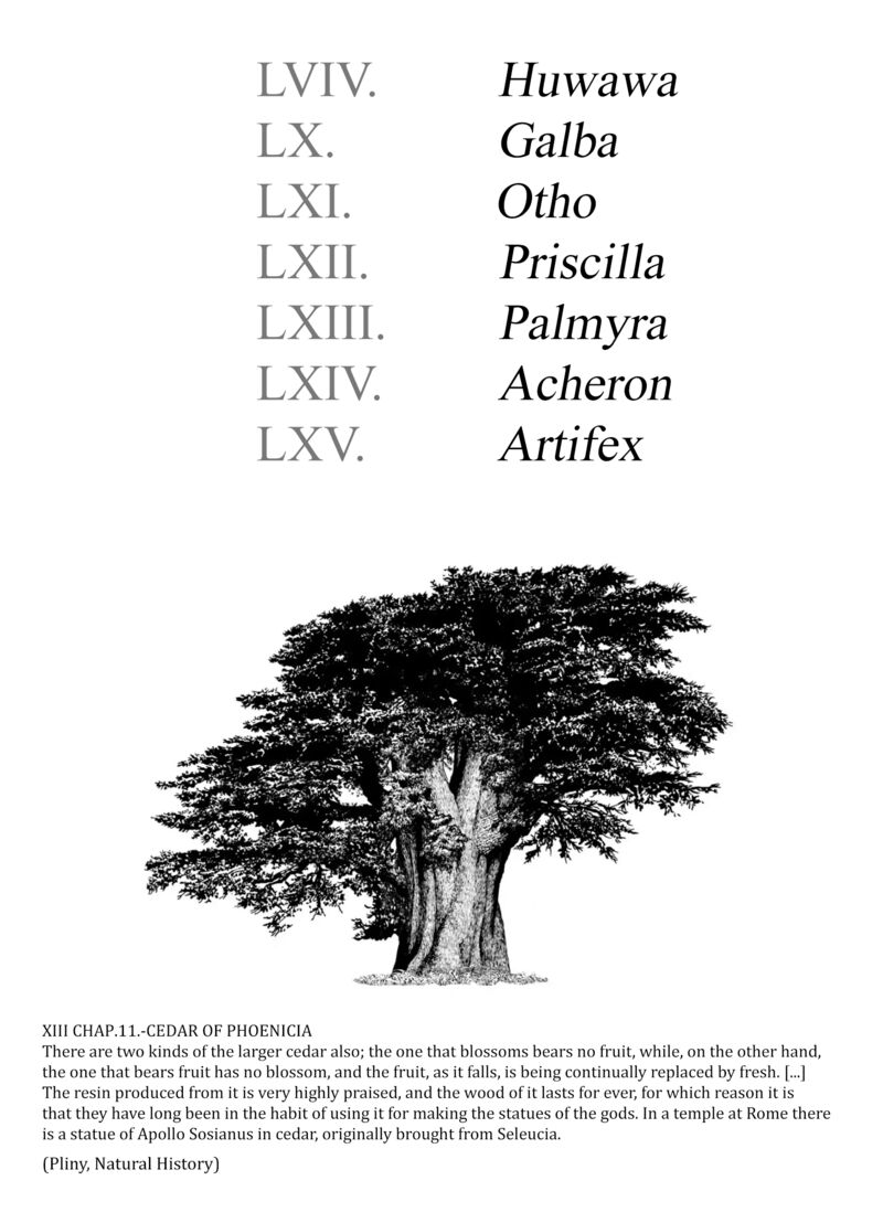 Plinius 64 4