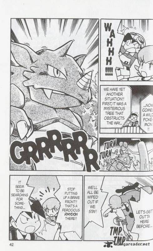 Pokemon Adventures 100 21